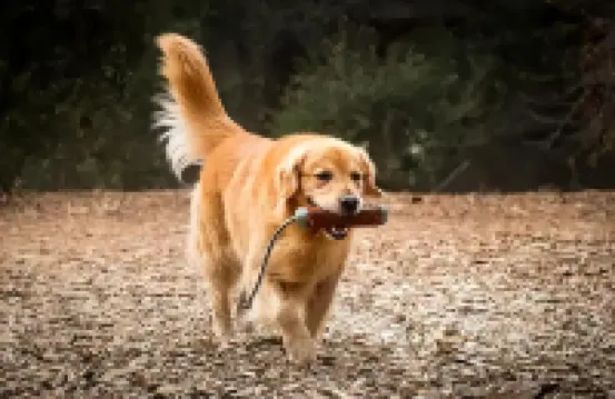 四季•庭院｜COURTYARD•ARTWORK中古酒店（延吉延邊大學網紅牆店）