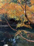 ANYU Hotel - Hangzhou West Lake - Dağ Manzaralı