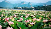 Riverside Four Seasons Hotel (Fuzhou Guangchang Jianshe East Road) - Wifi