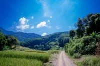 Mengla Naka Rainforest Homestay
