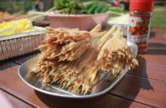 Cool Camp in the Mountains