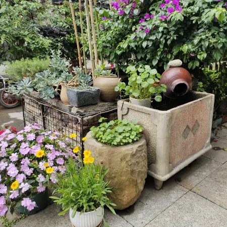 Hanshe Yazhu (Libo Xiaoqikong Shop) Отели в г. Либо