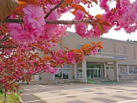 Seiko Grand Hotel Hotels in Ogata