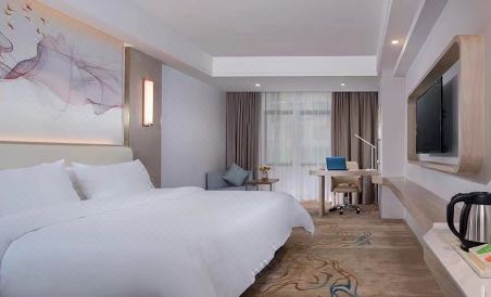 Vienna International Hotel (Shaoyang Dongkou) - Housity