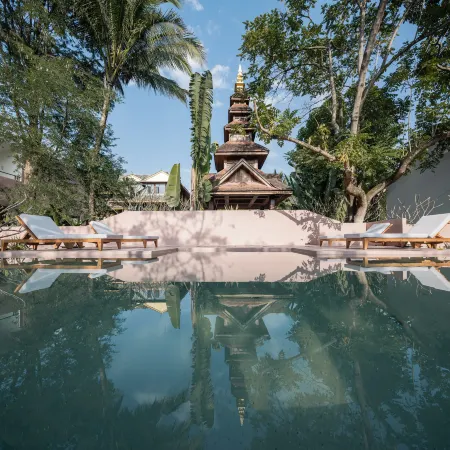Alan Rain Forest Wild Luxury Hotel