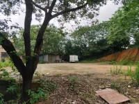 JOhn  Wan hui  inn