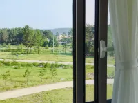shanyelijingzhi