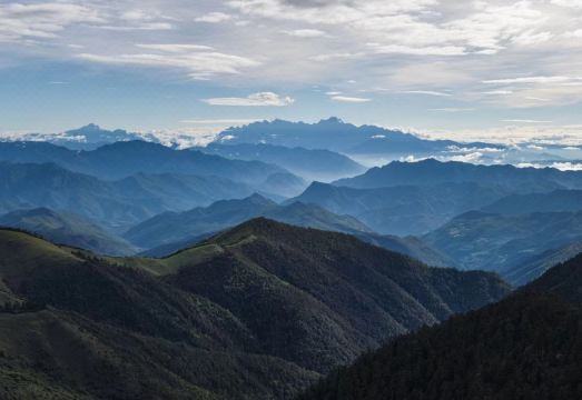 융골리 소프트 푸 힐링 크림 Wind · Puqian Xiaoyuan