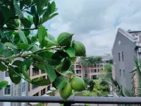 Mile Shanshui Bieyuan Homestay