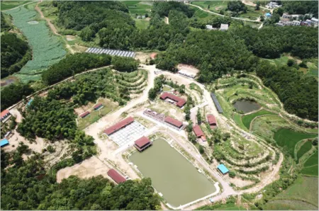 Gujing Hotel Homestay Отели в г. Сишуй