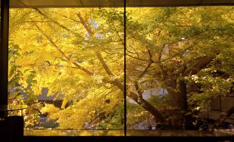 Capital Hotel(the Forbidden City，Tiananmen)