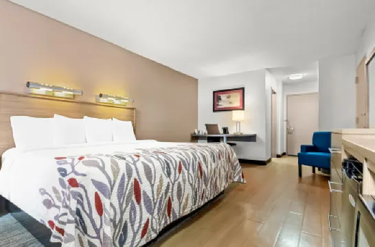 Red Roof Inn Myrtle Beach Hotel - Market Commons Hotels near Myrtle Beach International Airport