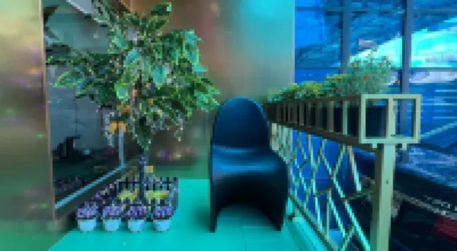 ゴールデン マンゴー ホーム ホテル ラコステ周辺のホテル