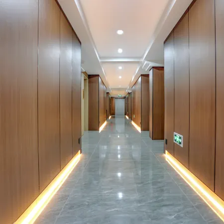 Disen Hotel