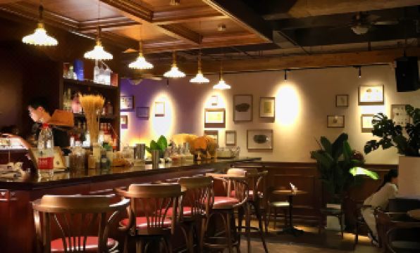 SONDERIA_Lazybones Hostel & Bar