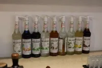 夏河噶頓諾吉嘎布民宿 - 酒吧