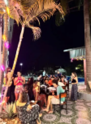 Jungle Backpackers Terrace View