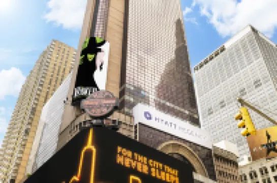 Hyatt Regency Times Square Hotel a New York