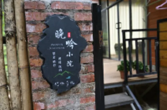 Bamboo Forest Wonderland