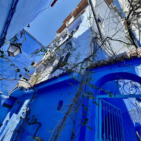 Casa Blue Star