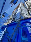 Casa Blue Star