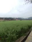Zhusha Yunman Hostel Fanjing Mountain - Mountain view