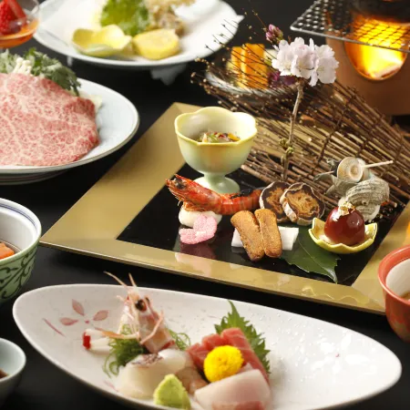 Tsukino Sumika Atami Juraku Hotel