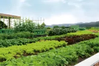 하워드 존슨 클럽 호텔 창사 남역 - 피트니스 시설