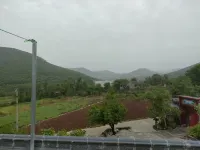 登封聞嵩見岳民宿（嵩山少林景區店）） - 寵物友善
