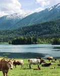 Shanye Jirai · Bonfire Party · Panoramic Designer Homestay (Kanas Scenic Area Branch) - Mountain view