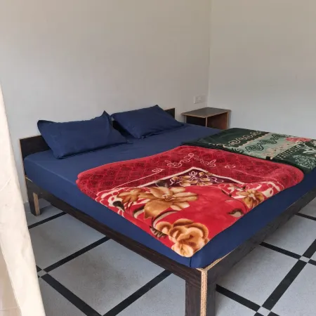 Hotel CSR Palace Отели в г. Чамоли