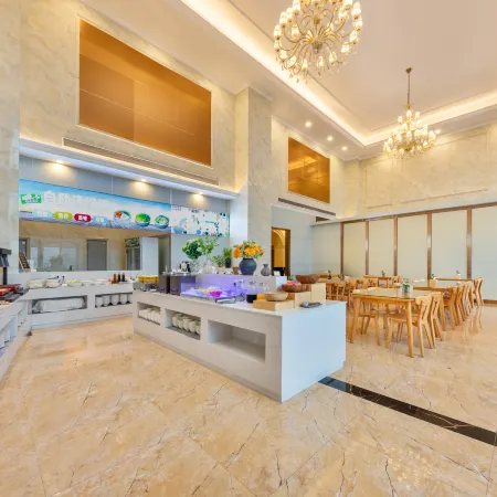 Vienna International Hotel (Shenzhen Cooperation Zone)