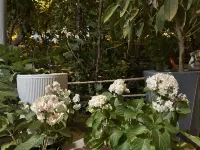Turpan Yifangting · Vineyard Courtyard Homestay (Frog Lane, Grape Valley Scenic Area) - Breakfast