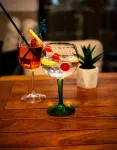 Hygge Apartment Zepterme - Vrnjacka Banja - bar