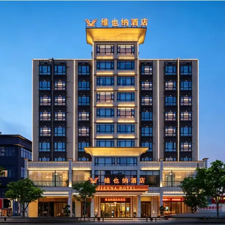 Vienna Hotel (Lingao Store)