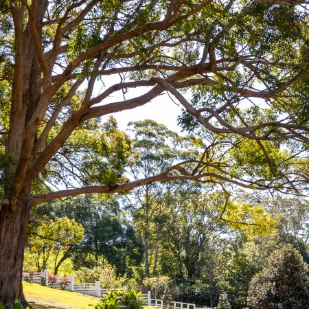 Verandah House Country Estate