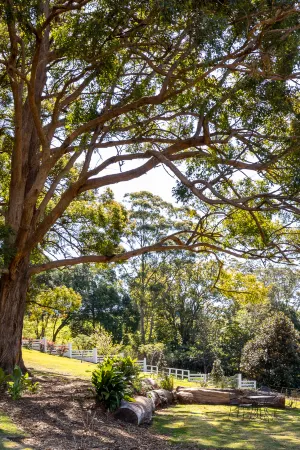 Verandah House Country Estate Отели в г. Бодесерт