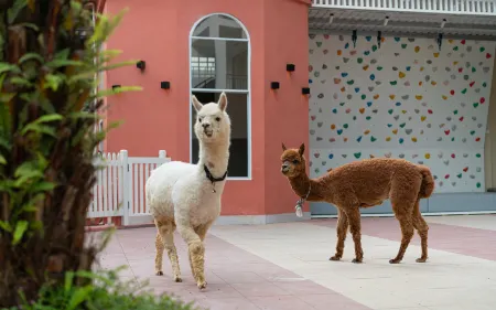 Yueshan Yushui Holiday Homestay (Yangshuo Yulonghe Tourism Resort Xiayu Wharf Branch) Отели рядом с достопримечательностью «Yulong Bridge»