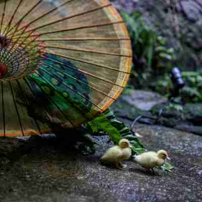 Fuzhou Academy Lifangju (Sanfang Qixiang Branch) Hotel Exterior
