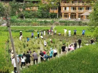 Tangchao Hostel Hotels in Liping
