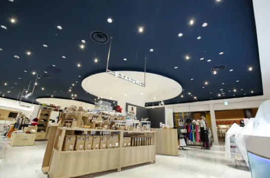 هوتل فيلا فونتين بريميير هانيدا أيربورت - ديريكتلي كونيكتيد تو هانيدا أيربورت تيرمينال 3 الترفيه والتسلية Photos