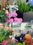 shexian Shiyi Homestay