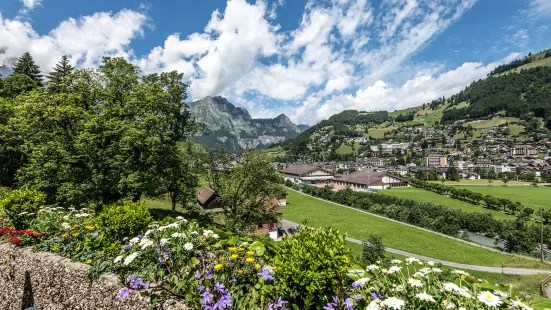 Hotel Bänklialp