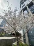 Greentree Eastern Hotel（Yiwu Yiwu International Trade City） - Scenic