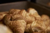 Hotel Leonardo da Vinci - breakfast