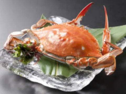 粛 海風 南知多のホテル