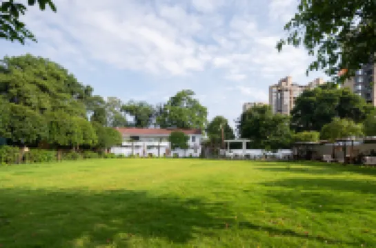 Leisurely Dwelling: Hidden Realm of Trees