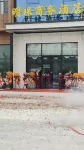 Hotan Pearl Business Hotel