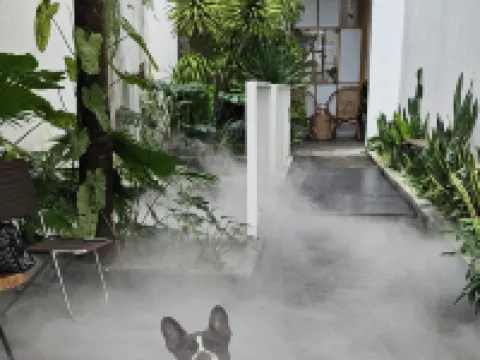拉達之家峴港 法林寺附近的飯店