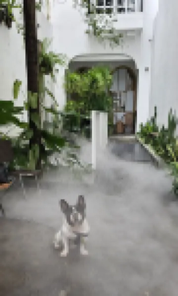 LaDa's House Hotels near Dragon Bridge